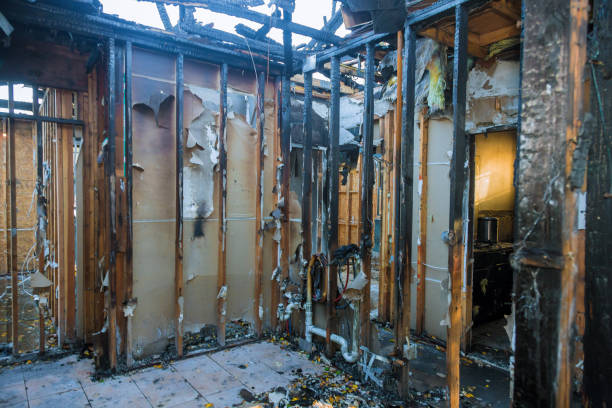 Professional Structural Rebuild technician working in Newport, MN