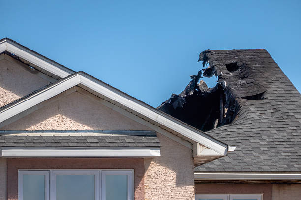 Top rated local Structural Rebuild specialists in Newport, MN